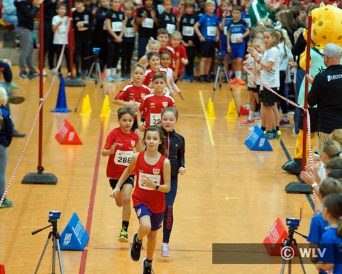 Bildergalerie des VR-Pokal Kinderleichtathletik des WLV