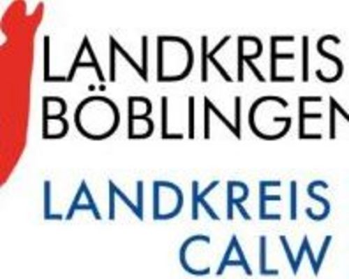 Einladung zum Fortbildungslehrgang in Calw  26-5 Fobi Core Stability