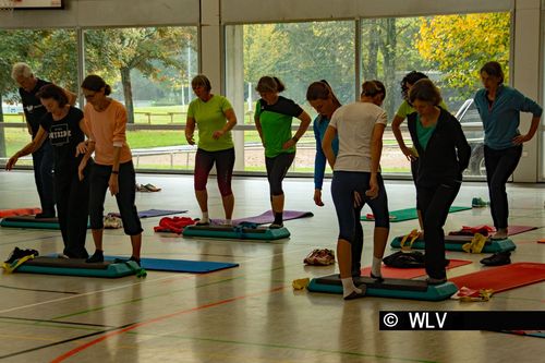 WLV Kongress Bewegung & Gesundheit am 20. Oktober 2019 in Tübingen