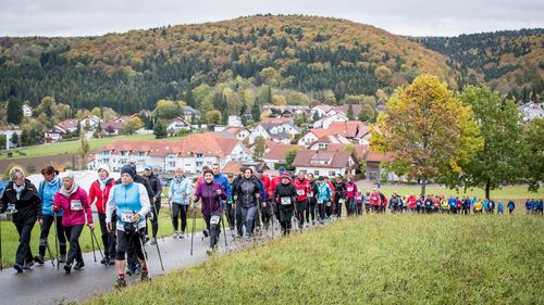 Nordic Walking im Fokus