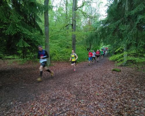 25 Laufteams trotzen Kälte und Schnee beim Waldmeisterlauf